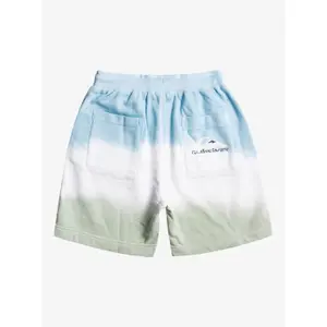 Children's swimming shorts Quiksilver Slow Dive Td image-1