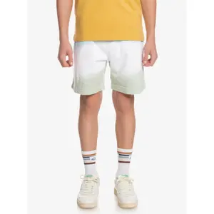 Children's swimming shorts Quiksilver Slow Dive Td image-2