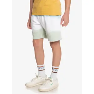 Children's swimming shorts Quiksilver Slow Dive Td image-3