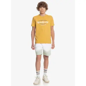 Children's swimming shorts Quiksilver Slow Dive Td image-5