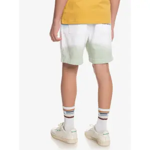 Children's swimming shorts Quiksilver Slow Dive Td image-6