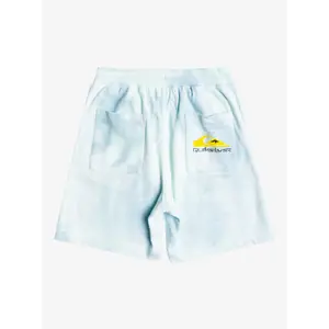 Children's swimming shorts Quiksilver Slow Dive Td image-1