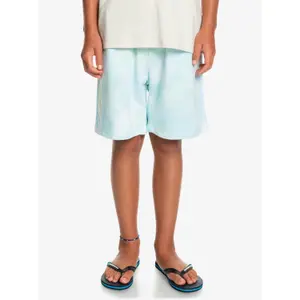 Children's swimming shorts Quiksilver Slow Dive Td image-2