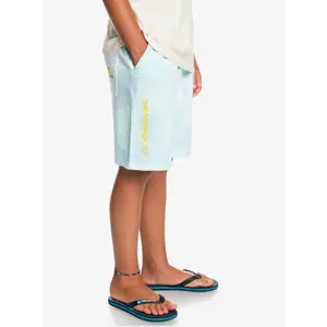 Children's swimming shorts Quiksilver Slow Dive Td image-3