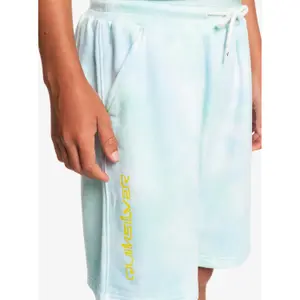 Children's swimming shorts Quiksilver Slow Dive Td image-4