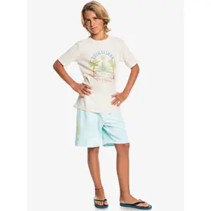 Children's swimming shorts Quiksilver Slow Dive Td image-6