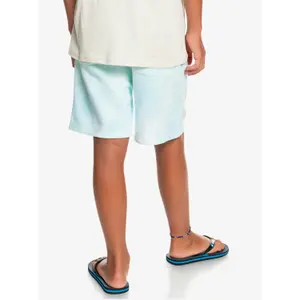Short de bain enfant Quiksilver Slow Dive Td image-5