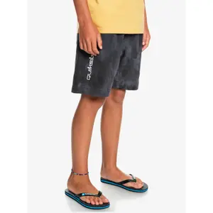 Children's swimming shorts Quiksilver Slow Dive Td image-3