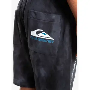 Children's swimming shorts Quiksilver Slow Dive Td image-5
