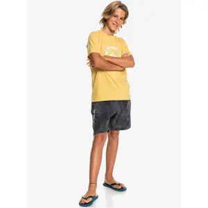 Children's swimming shorts Quiksilver Slow Dive Td image-6