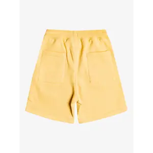 Children's swimming shorts Quiksilver Stir Roots Up image-1