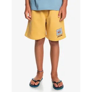 Children's swimming shorts Quiksilver Stir Roots Up image-2