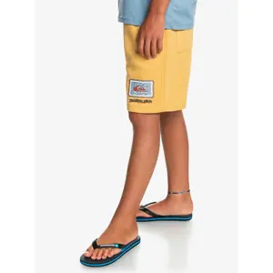 Children's swimming shorts Quiksilver Stir Roots Up image-3