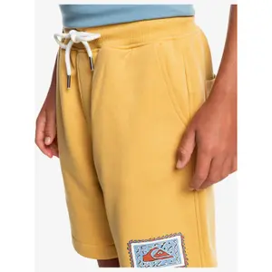 Children's swimming shorts Quiksilver Stir Roots Up image-4