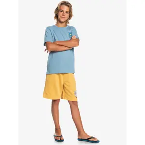 Children's swimming shorts Quiksilver Stir Roots Up image-6