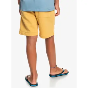 Short de bain enfant Quiksilver Stir Roots Up image-5