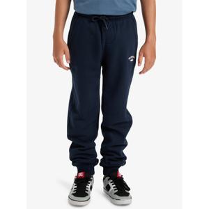 Kids' joggers Quiksilver Slim image-2