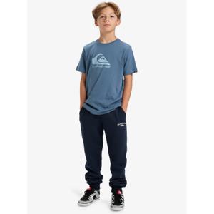 Kids' joggers Quiksilver Slim image-6
