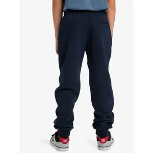 Kids' joggers Quiksilver Slim image-5