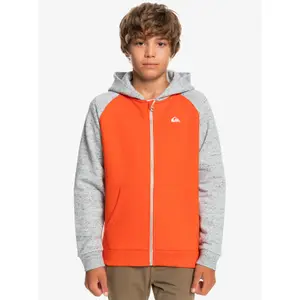 Zipped sweatshirt for kids Quiksilver Easy Day image-5