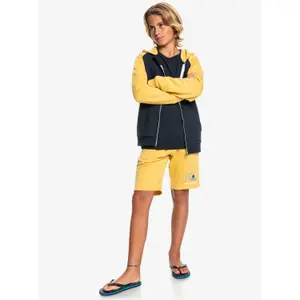 Zipped sweatshirt for kids Quiksilver Easy Day image-6