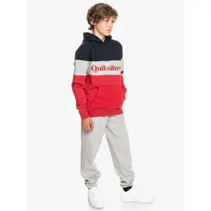 Child hoodie Quiksilver Beach To School image-4