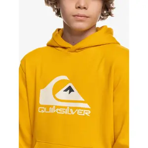 Sweatshirt child Quiksilver Big Logo image-4