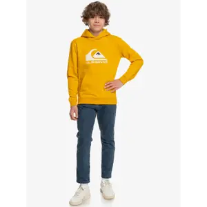 Sweatshirt child Quiksilver Big Logo image-5