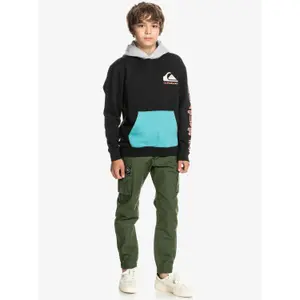 Child hoodie Quiksilver Omni Logo Block image-5