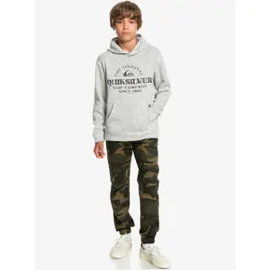Child hoodie Quiksilver Keller Art Youth image-5