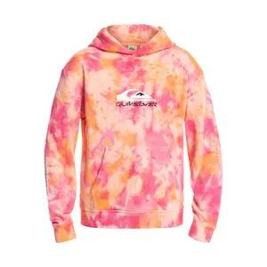 Child hoodie Quiksilver Slow Dive Td image-0