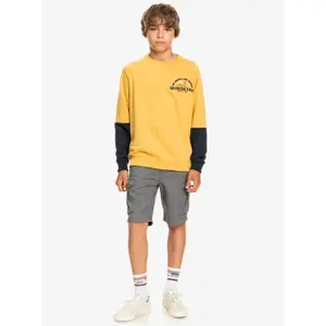 Sweatshirt child Quiksilver Open Spot Crew image-5