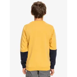 Sweatshirt child Quiksilver Open Spot Crew image-6