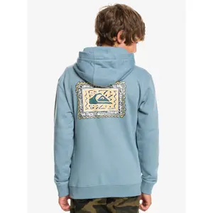 Zipped sweatshirt for kids Quiksilver Radical Roots image-6
