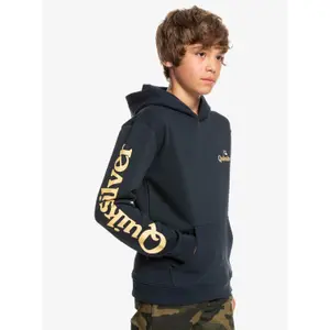 Child hoodie Quiksilver Stir It Up image-4