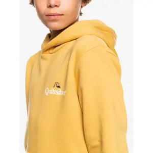 Child hoodie Quiksilver Stir It Up image-4