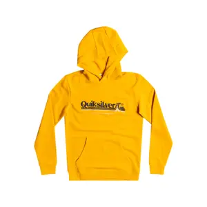 Child hoodie Quiksilver All Lined Up image-0