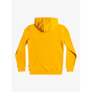 Child hoodie Quiksilver All Lined Up image-1