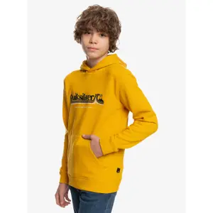 Child hoodie Quiksilver All Lined Up image-3