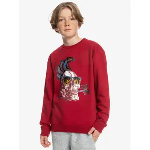 Sweatshirt child Quiksilver Smoke Crew image-2