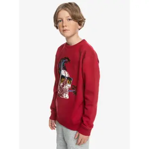 Sweatshirt child Quiksilver Smoke Crew image-3