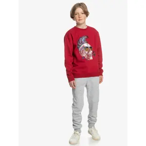 Sweatshirt child Quiksilver Smoke Crew image-5