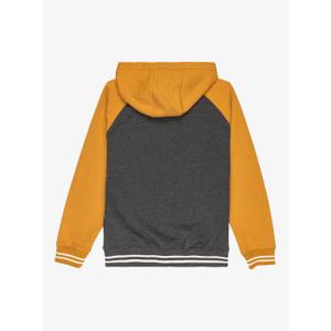 Hooded sweatshirt with zipper Quiksilver Knowledge Area image-1