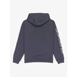 Child hoodie Quiksilver Omni Logo image-1