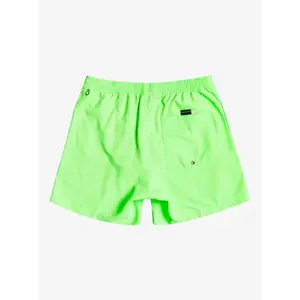 Children's swimming shorts Quiksilver Everyday Volley 13 image-1