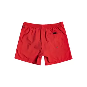 Children's swimming shorts Quiksilver Everyday Volley 13 image-1