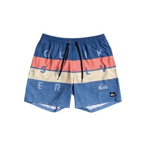 Shorts för barn Quiksilver Word Block Volley