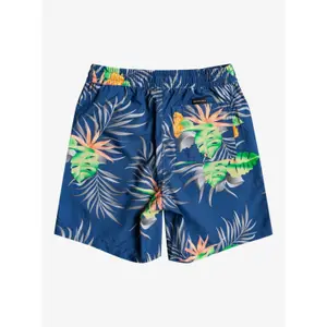 Children's shorts Quiksilver Paradise Express Volley image-1