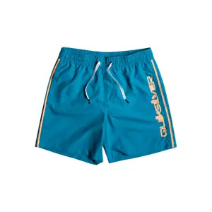 Children's swimming shorts Quiksilver Everyday Vert Volley 14 image-0