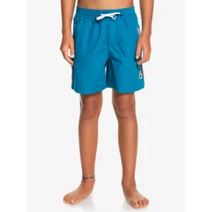 Children's swimming shorts Quiksilver Everyday Vert Volley 14 image-2